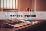 世界杯款待区（世界杯代理）