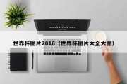 世界杯图片2016（世界杯图片大全大图）