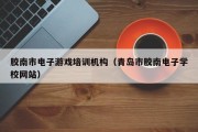 胶南市电子游戏培训机构（青岛市胶南电子学校网站）