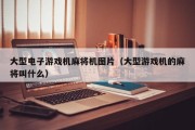 大型电子游戏机麻将机图片（大型游戏机的麻将叫什么）