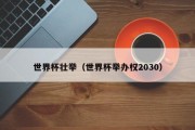 世界杯壮举（世界杯举办权2030）