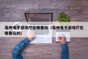 亳州电子游戏厅在哪里玩（亳州电子游戏厅在哪里玩的）