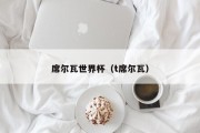 席尔瓦世界杯（t席尔瓦）