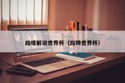 段暄解说世界杯（段铸世界杯）