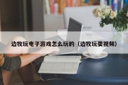 边牧玩电子游戏怎么玩的（边牧玩耍视频）